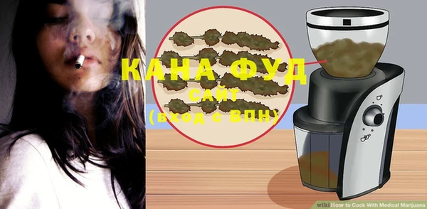 индика Абаза