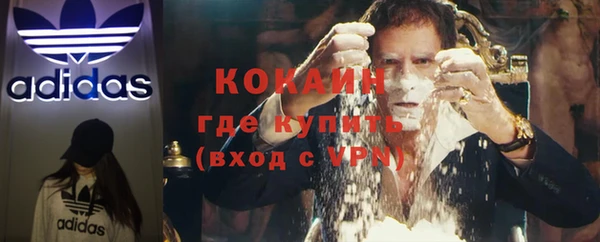 индика Абаза