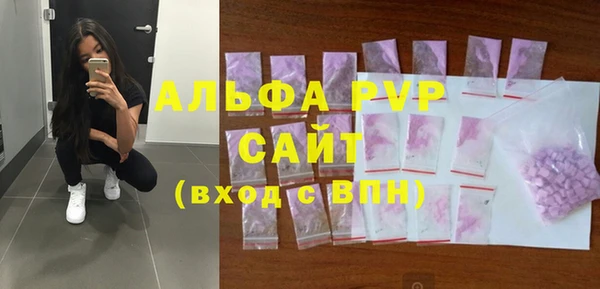 индика Абаза