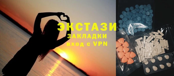 индика Абаза
