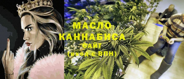 индика Абаза