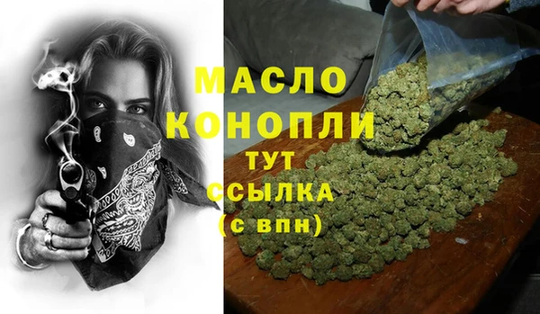 индика Абаза