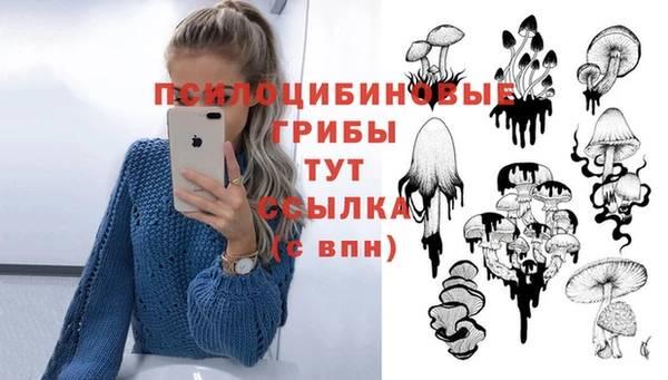 индика Абаза