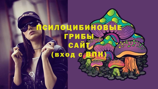твердый Абинск