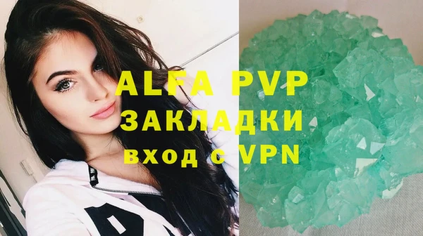 индика Абаза