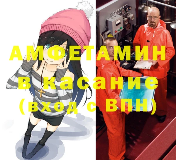 индика Абаза