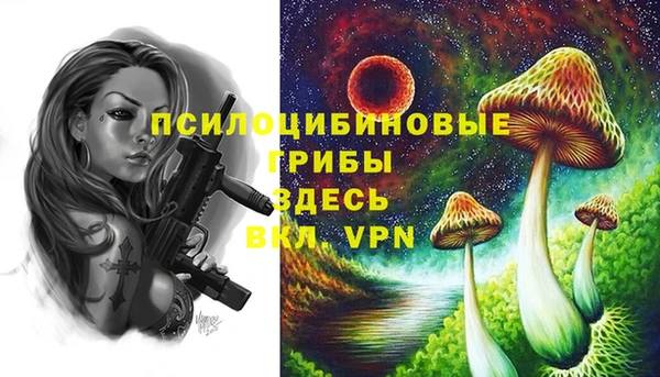 индика Абаза