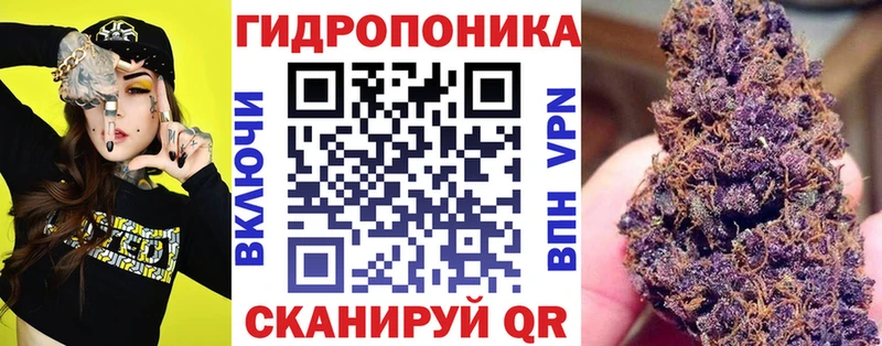 mega ССЫЛКА  купить наркотик  Скопин  Конопля планчик 